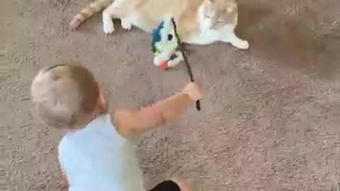 Baby loves cats
