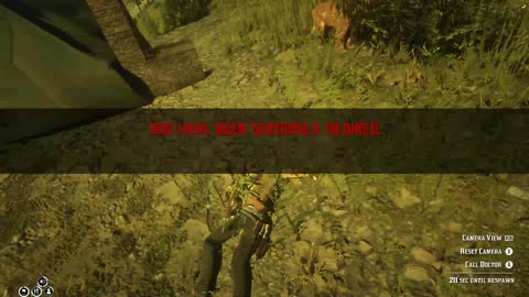 Sneaky Cougar