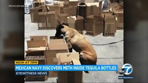 Mexican Navy Seizes over 19,000 Pounds of Liquid Meth Disguised as Tequila