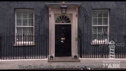 Downing Street's main cat, Larry, came out to meet Liz Truss. Journalists are already gathering ne