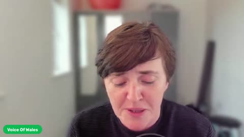 Anne Marie Waters Live A review of Ukip policy