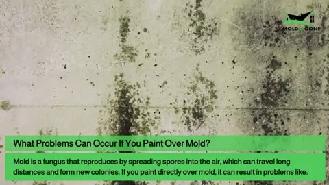 Mold and Paint: What You Need to Know Before You DIY!