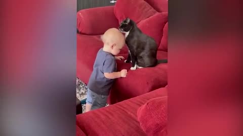 Cute babies play with cat and doges