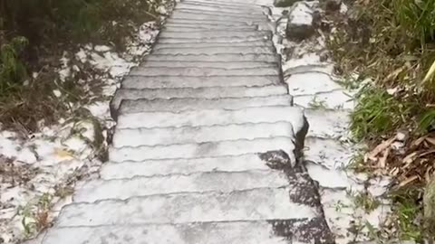 Frozen Stair Slide