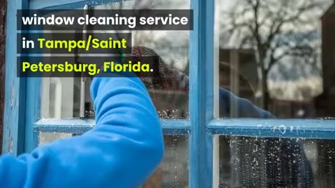 Spotless Window Cleaning Services in Tampa St Pete: See the Difference!