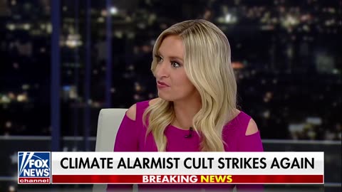 Kayleigh McEnany: The left is more concerned about toilet paper than China