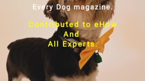 Best Dog Training System USA 2021 Dog Training Videos Create Well Behaved Intelligent Dog #shorts