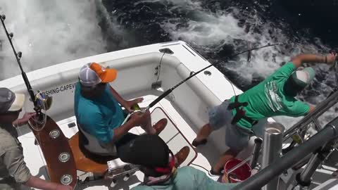 Cape Verde Blue Marlin Fishing Highlights