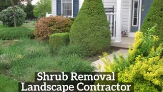 Landscape Clear Spring Maryland Shrub Removal