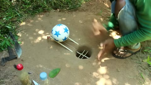 New Creative Unique Bird Trap Using Small Plastic Ball - Rolling Parrot Trap in Hole