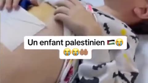 🇵🇸FREE🇵🇸PALESTINE🇵🇸