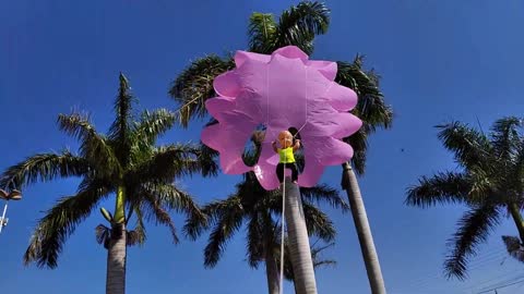 Parasail toy kites released with hands, free area.