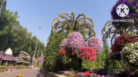 Let's Visit the Largest Garden of Natural Flowers in the World 🌹💐 Miracle Garden Dubai
