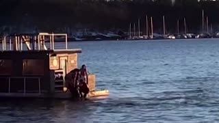 Floating sauna saves Tesla passengers in Oslo fjord