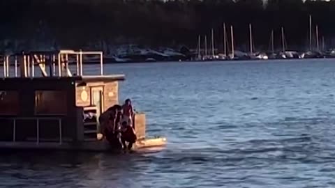 Floating sauna saves Tesla passengers in Oslo fjord