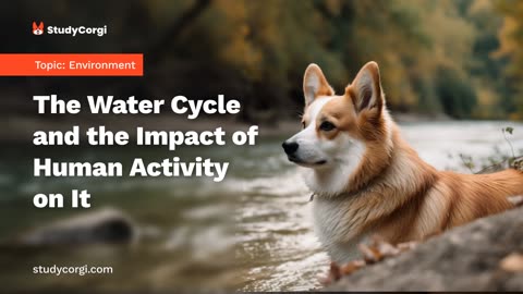 The Water Cycle and the Impact of Human Activity on It - Research Paper Example