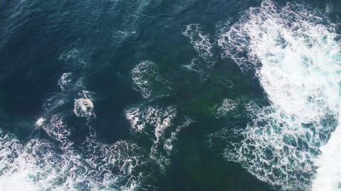 A large pod of dolphins taking advantage of the wild surf