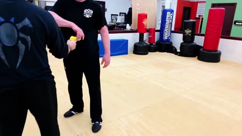 The System Self Defense Program - Promo