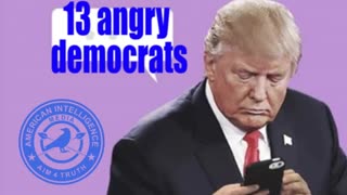 Trumps Tweets About 13 Angry Democrats