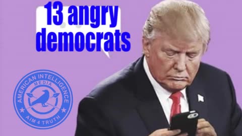 Trumps Tweets About 13 Angry Democrats