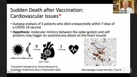 Dr Stephanie Seneff: Cardiovascular Issues via Molecular Mimicry May Be What's to Blame for the Rise in Sudden Death