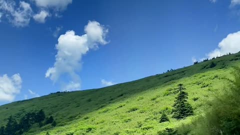 Come and see the blue sky and white clouds on Shennong Peak