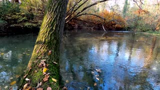 The sound of nature as a very strong and effective relaxer