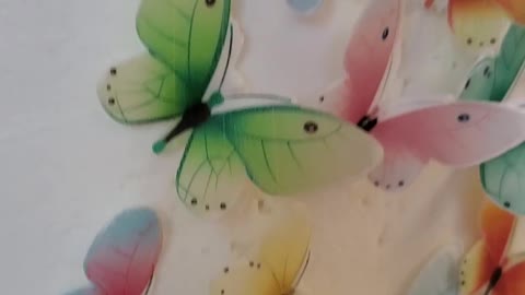 Butterfly Cake