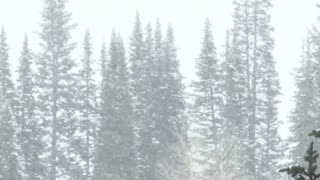 Winter/Snowstorm-Ambient Snowstorm, Blizzard Sounds, Heavy Wind | 1 Hour