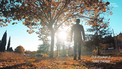 5 AUTUMN CREATIVE VIDEO TRICKS