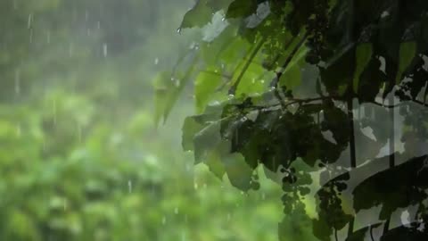 the most beautiful sound of rain