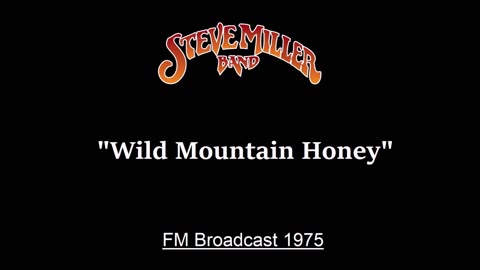 Steve Miller - Wild Mountain Honey (Live in New York City 1975) FM Broadcast