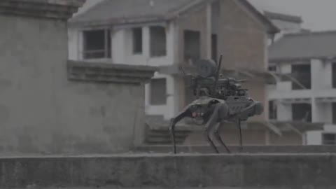 Airdropped armed robot dog tested in China