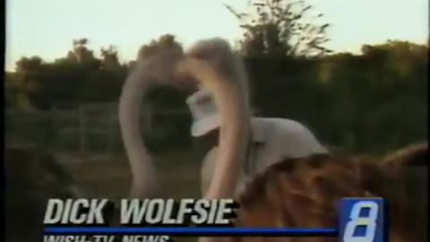 July 25, 1991 - Ostriches Attack Dick Wolfsie