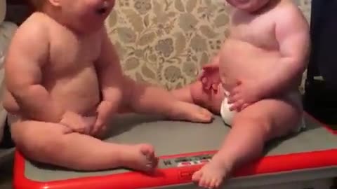 Babies are Funny