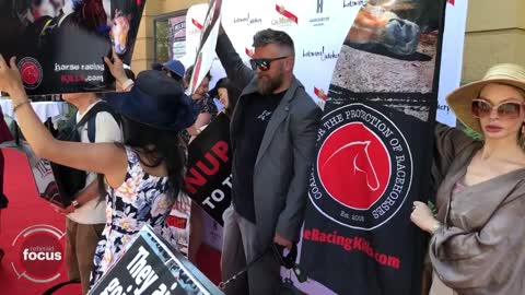 Animal rights activists protesting Melbourne cup | nzherald.co.nz