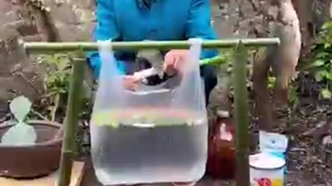Woman cooks over the fire using plastic bag!😯