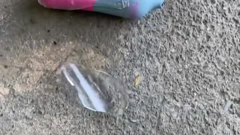 Breaking crushing glass bottles