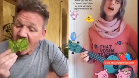 Funny Gordon Ramsay reacts to bad Tiktok cooking videos _ #shorts. #kitchennightmares