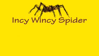 Incy Wincy Spider