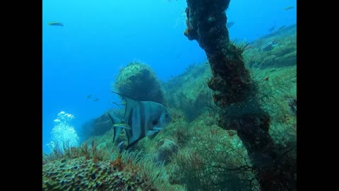 Wreck Diving in Reviera Maya, Mexico. December, 2022