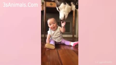 New Dog baby video very beautiful