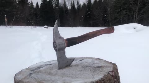 $20 Viking Axe