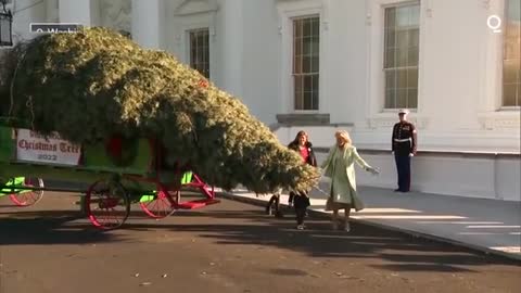 Jill Biden Welcomes White House Christmas Tree
