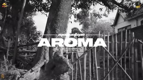 Aroma - Sidhu Moose Wala - Offical Song