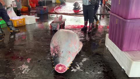 Super huge bluefin tuna cutting skills(3)