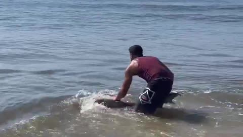 🦈Releasing a shark back to the ocean🦈 #fishing #fish #florida #longisland #shark #newyork #beach