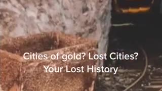 THE CALIFORNIA GOLD RUSH 1848-1856