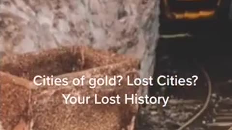 THE CALIFORNIA GOLD RUSH 1848-1856