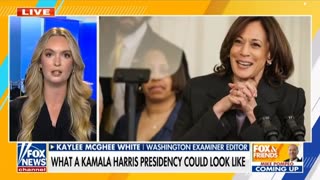 Kamala Harris will be a good replacement to democrats